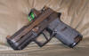 Sig P320 Compact RMR