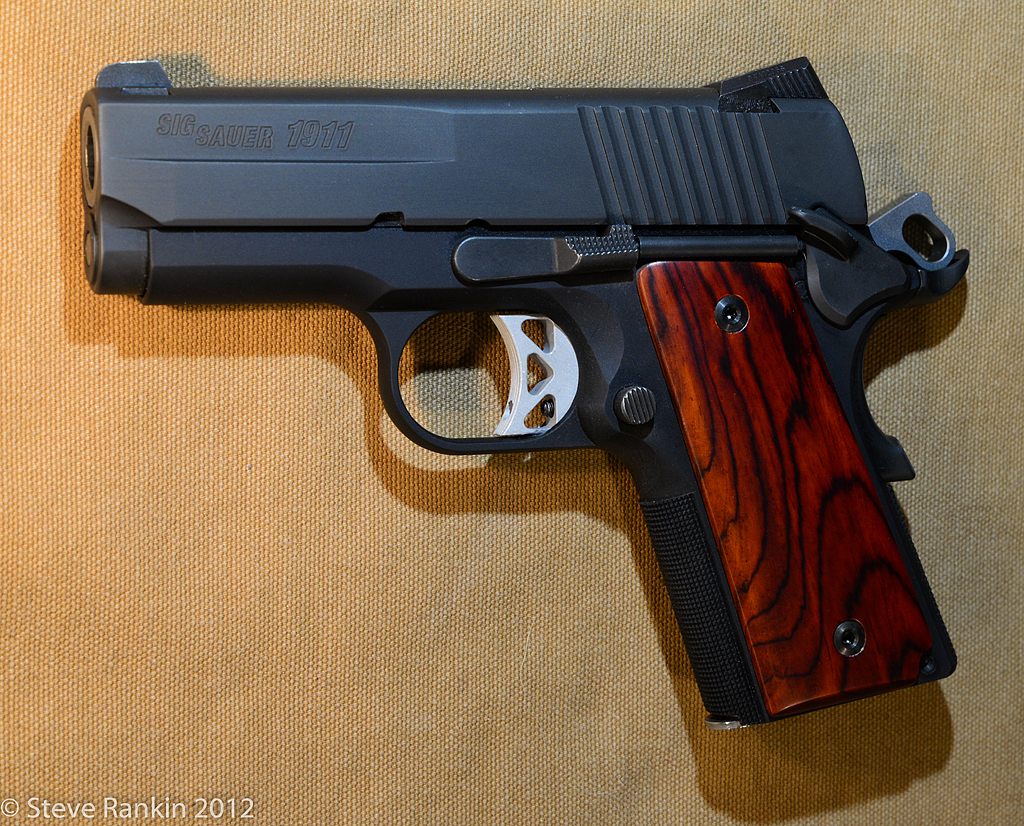 Ordered my first 1911, deciding on grips - 1911 Forum